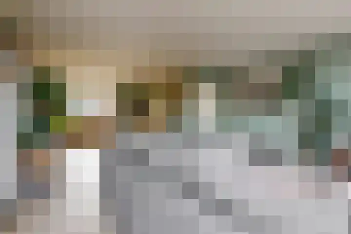 Hoogewoud 24 Zwaag thumbnail 7