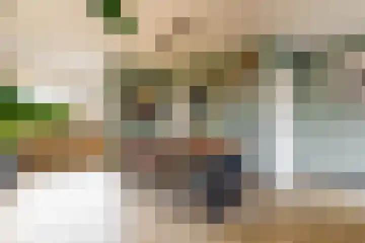Hoogewoud 24 Zwaag thumbnail 9