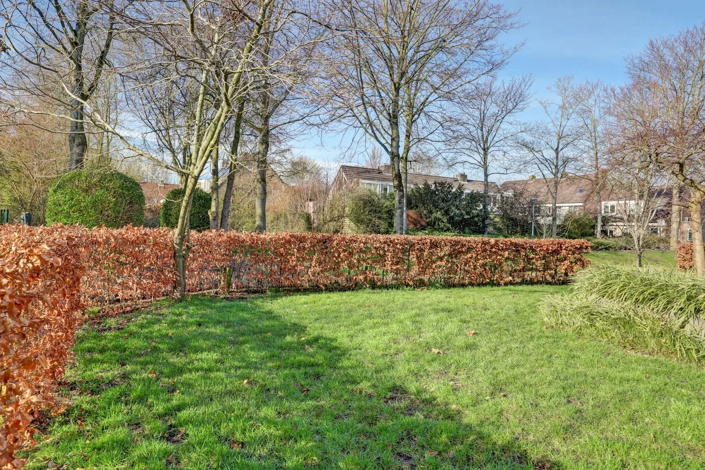 Hoogewoud 62 Zwaag thumbnail 44