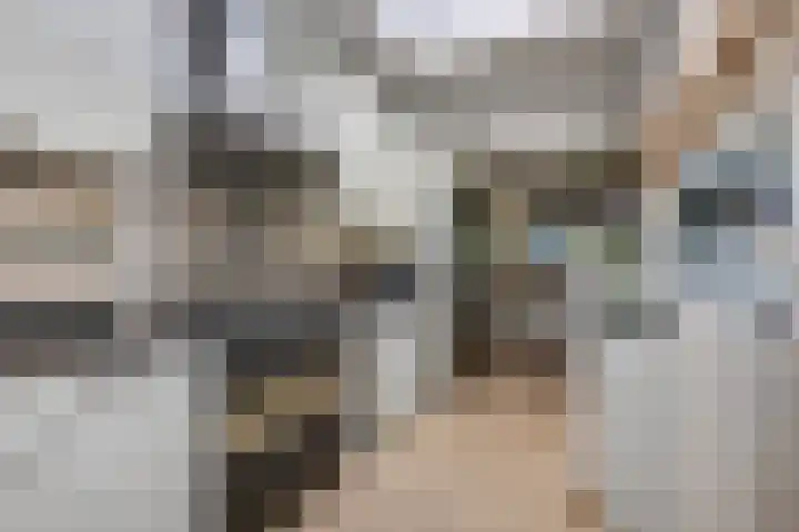 Hoogezandstraat 12 Arnhem thumbnail 17