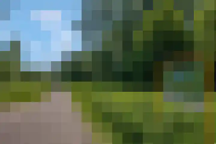 Hoogezandstraat 12 Arnhem thumbnail 52