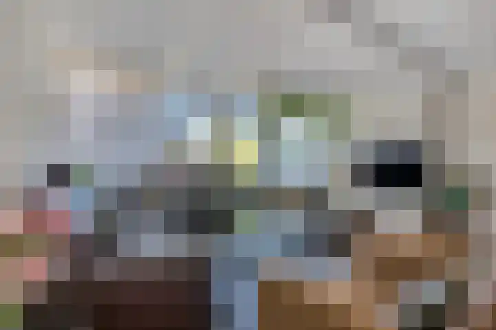 Hoogezandstraat 12 Arnhem thumbnail 8