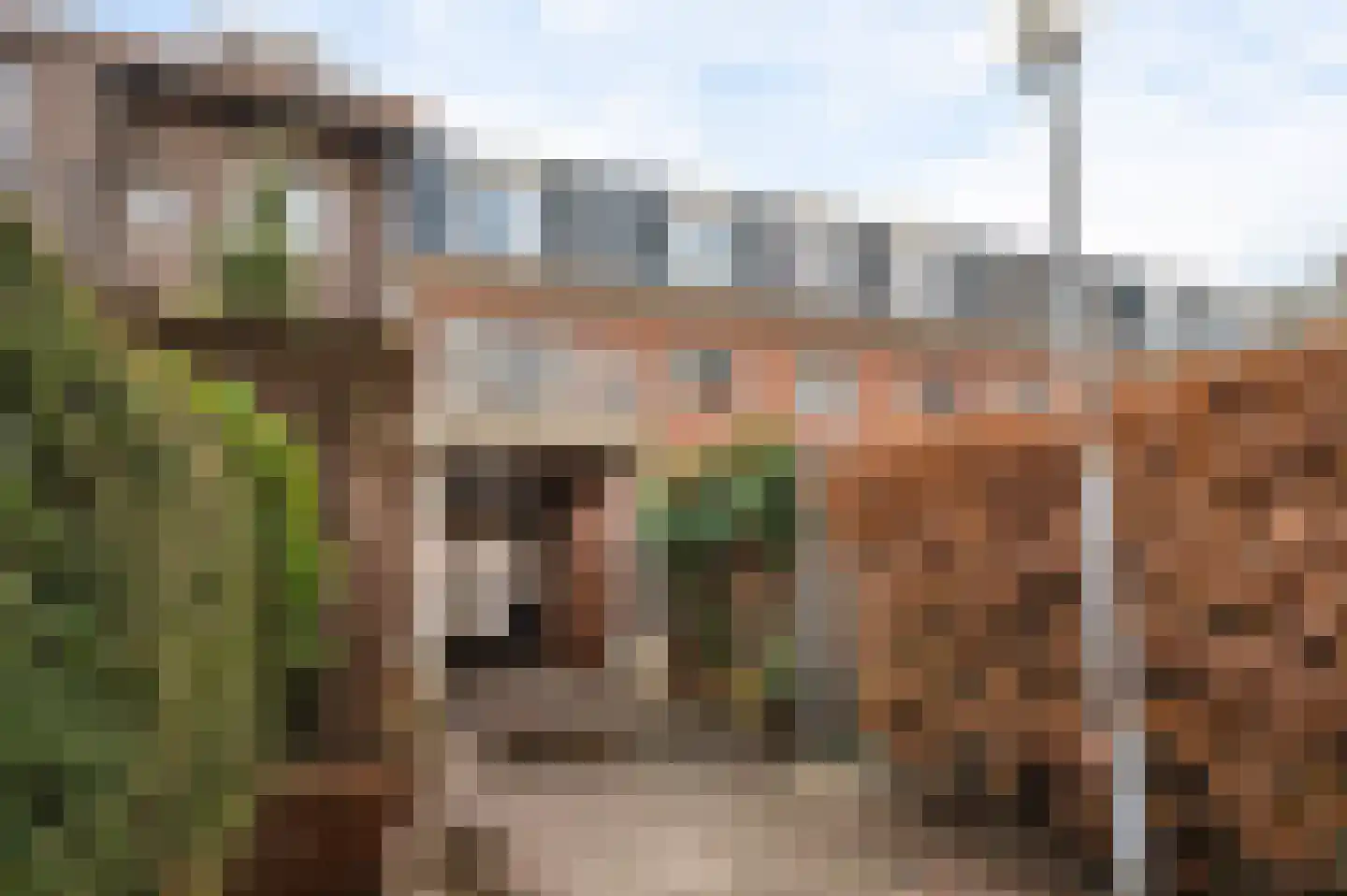 Hoogfrankrijk 32 B Maastricht thumbnail 6
