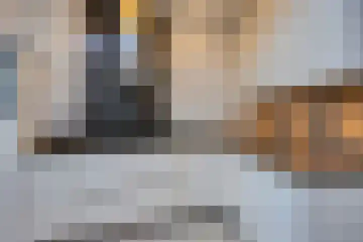 Hoogfrankrijk 40 Maastricht thumbnail 6