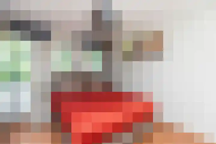 Hooghagen 46 Rotterdam thumbnail 15