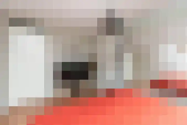 Hooghagen 46 Rotterdam thumbnail 16