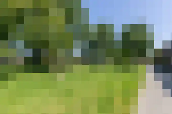 Hooghagen 46 Rotterdam thumbnail 28