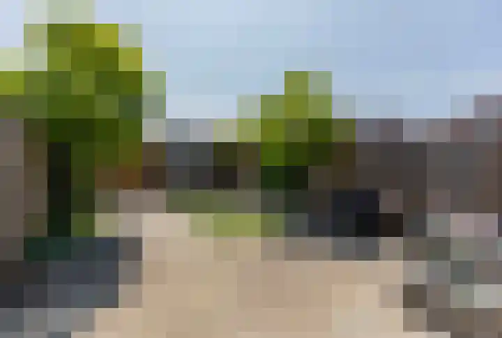 Hooghagen 46 Rotterdam thumbnail 30