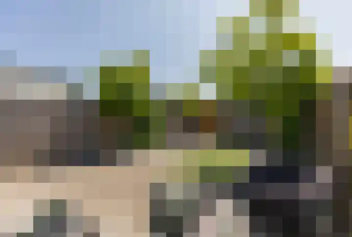 Hooghagen 46 Rotterdam thumbnail 31
