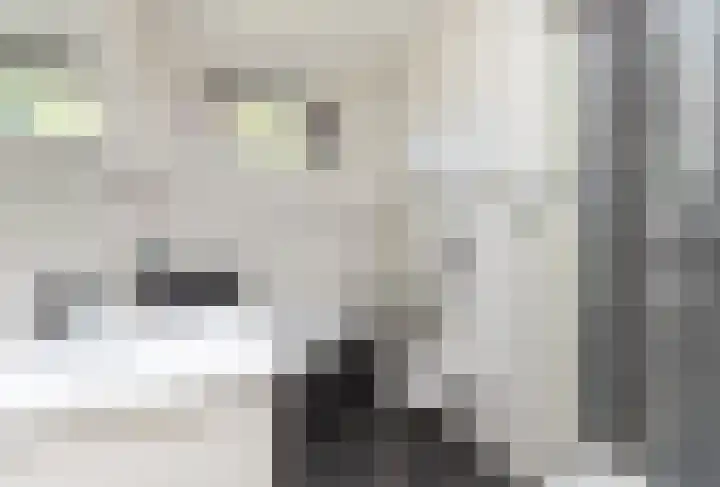 Hooghagen 46 Rotterdam thumbnail 5