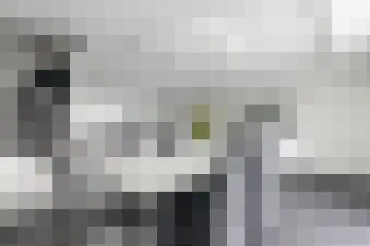 Hooghalenstraat 6 Den Haag thumbnail 35