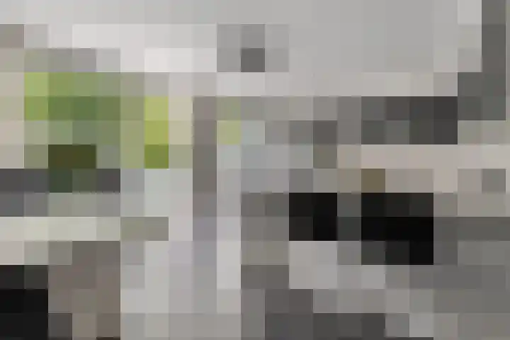 Hooghalenstraat 6 Den Haag thumbnail 7