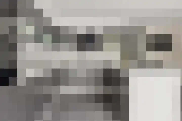 Hooghalenstraat 6 Den Haag thumbnail 8