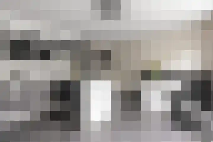 Hooghalenstraat 6 Den Haag thumbnail 9