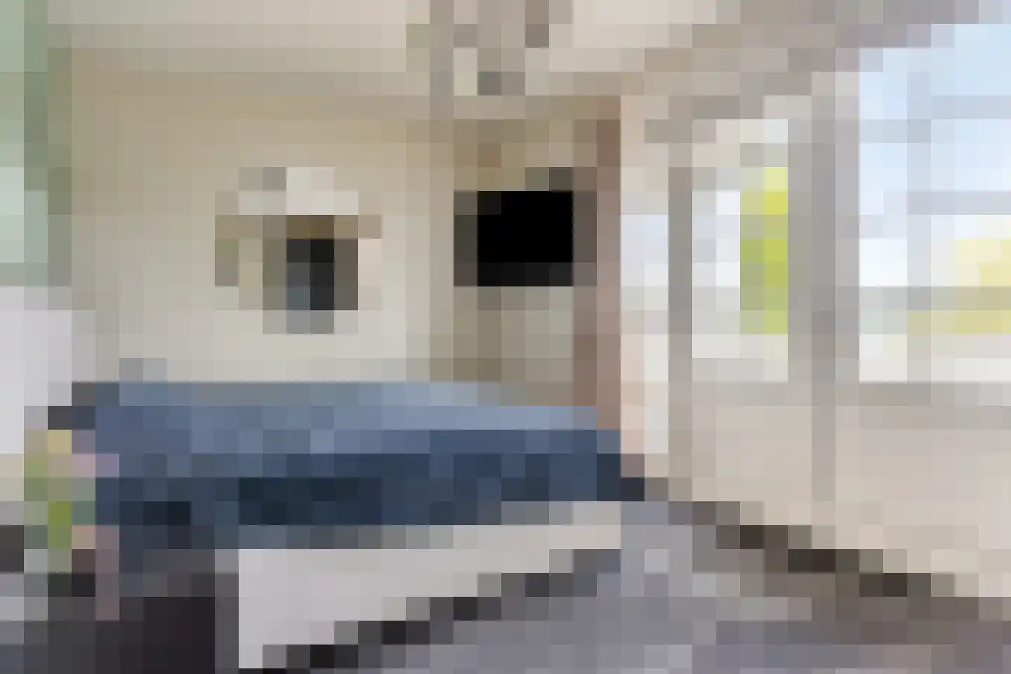 Hooghbeemd 25 Waalre thumbnail 19