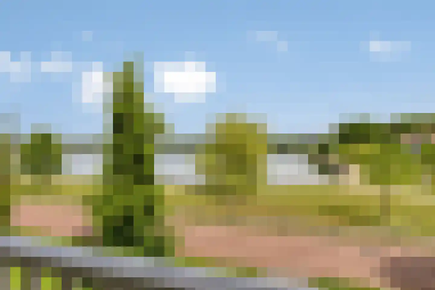 Hooghbeemd 25 Waalre thumbnail 23