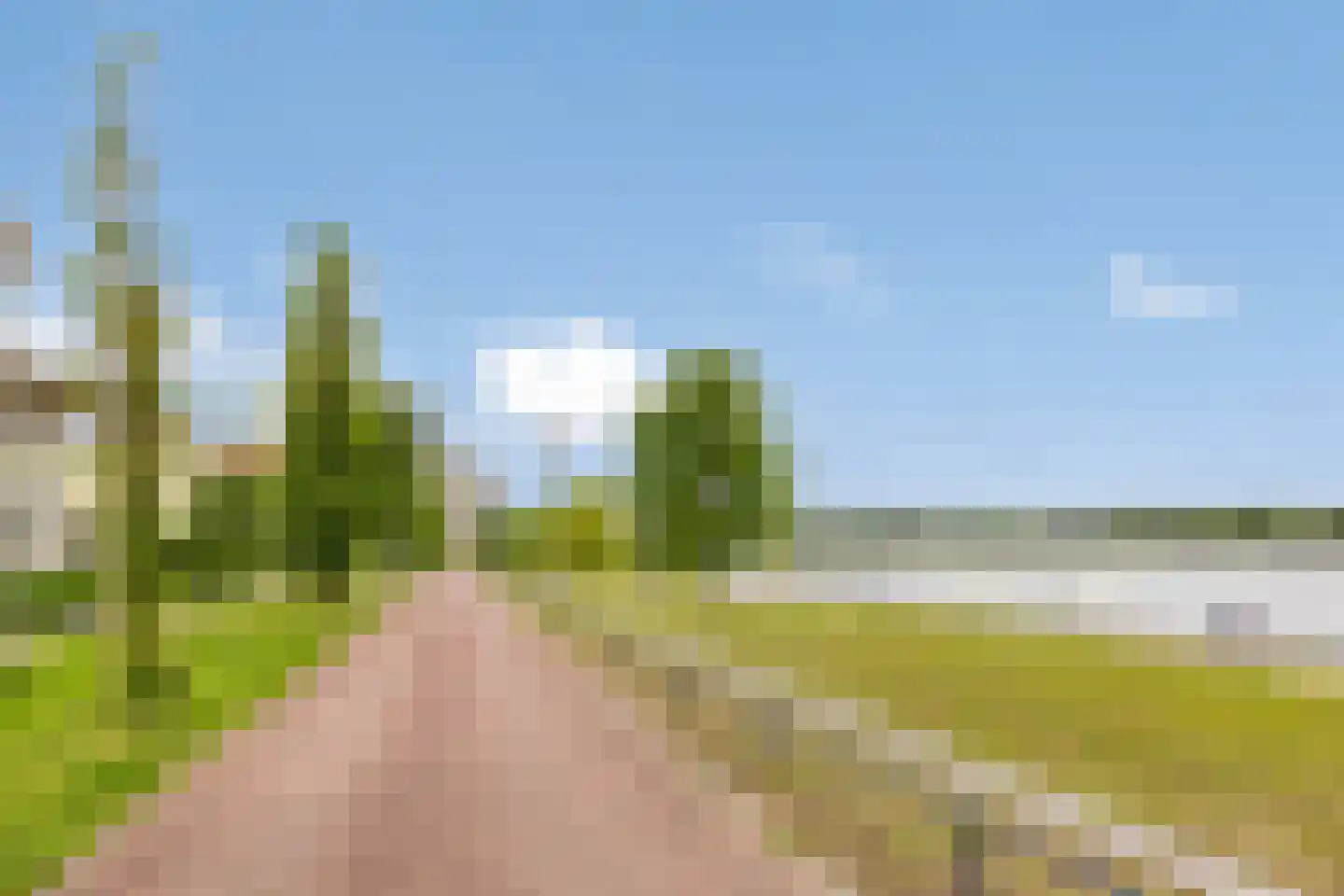 Hooghbeemd 25 Waalre thumbnail 50