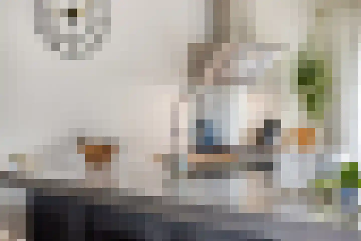 Hooghbeemd 25 Waalre thumbnail 7