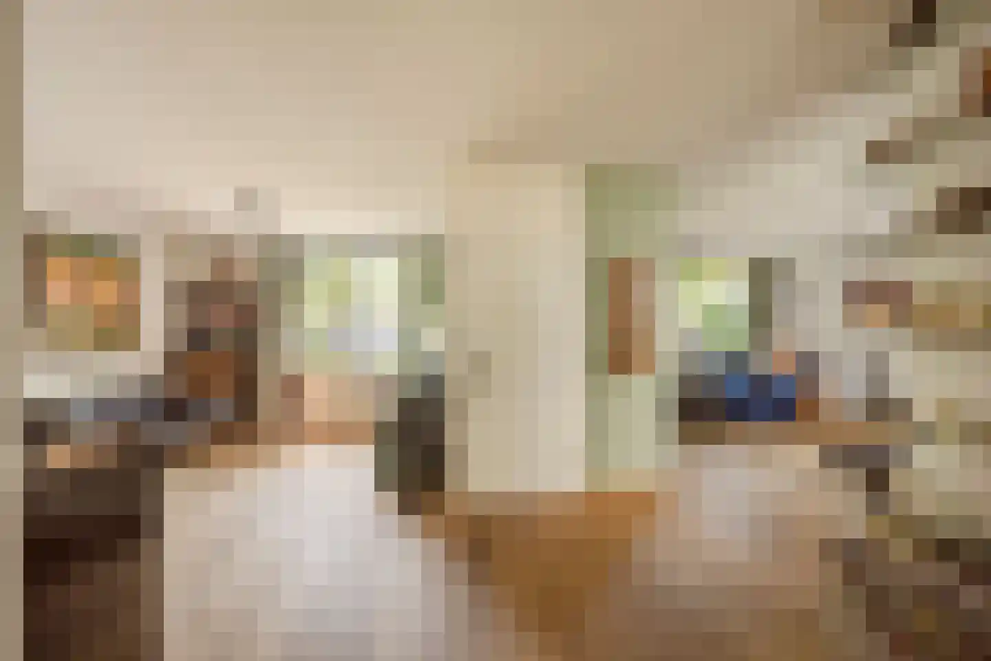 Hoogheemraadstraat 30 Wassenaar thumbnail 10