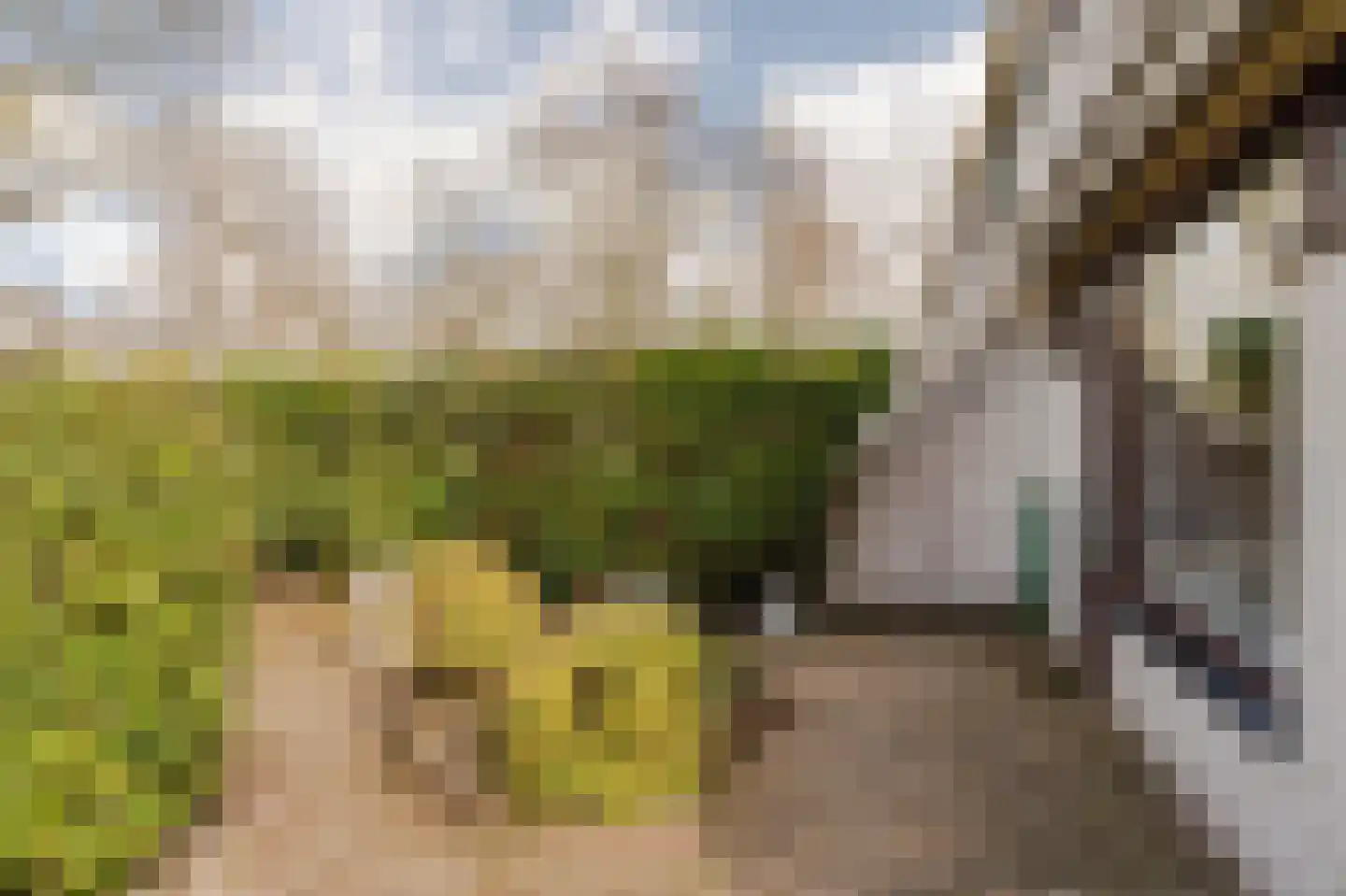 Hoogheemraadstraat 30 Wassenaar thumbnail 12