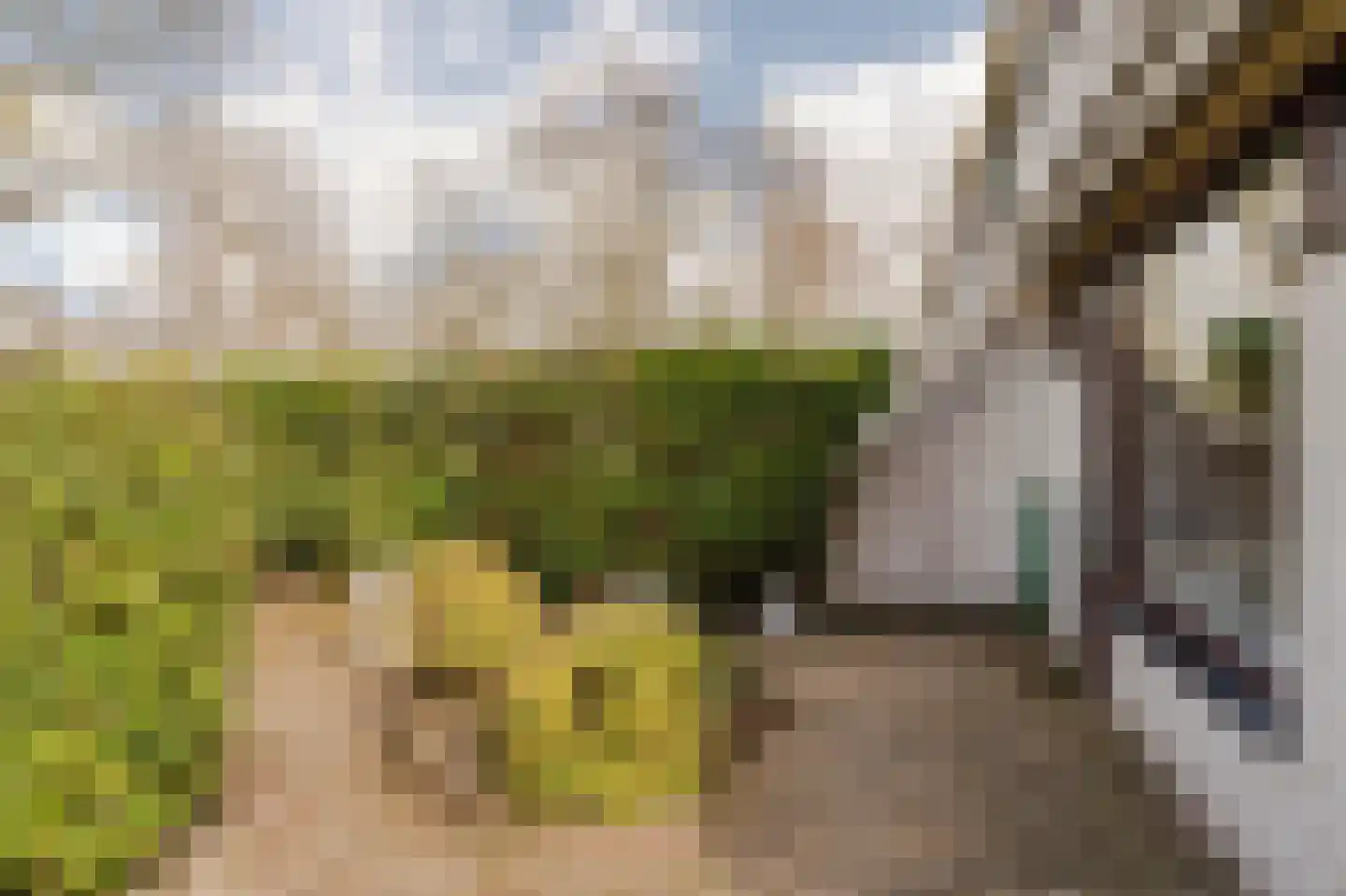 Hoogheemraadstraat 30 Wassenaar thumbnail 15