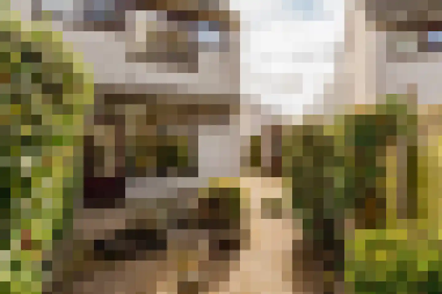 Hoogheemraadstraat 30 Wassenaar thumbnail 16