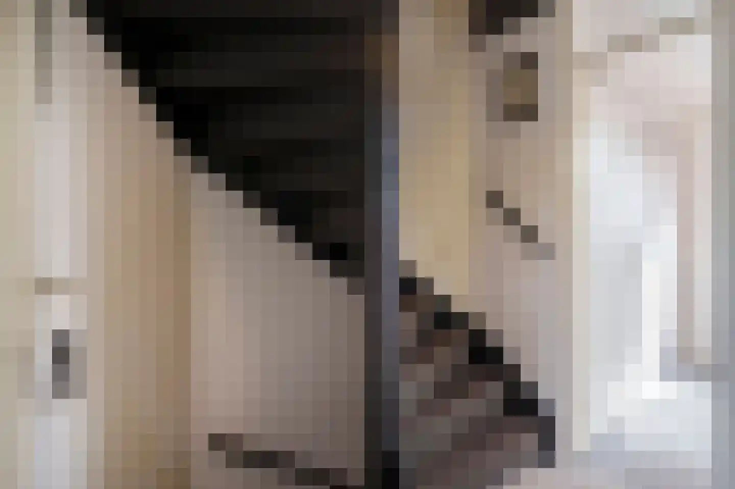 Hoogheemraadstraat 30 Wassenaar thumbnail 19