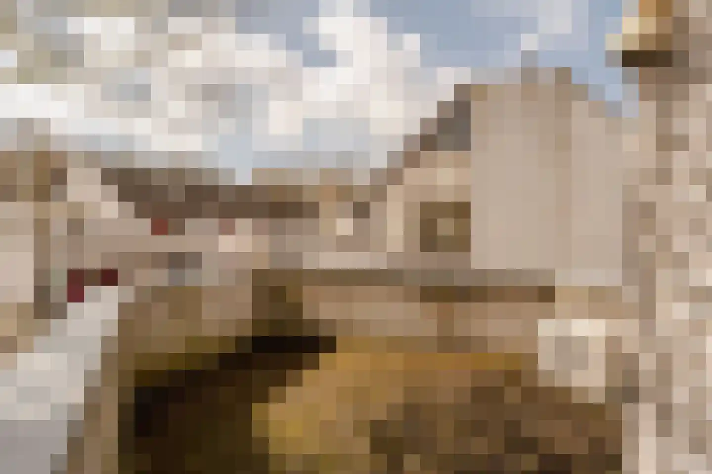 Hoogheemraadstraat 30 Wassenaar thumbnail 24