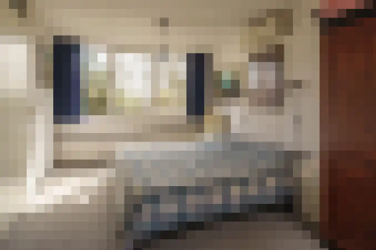 Hoogheemraadstraat 30 Wassenaar thumbnail 29