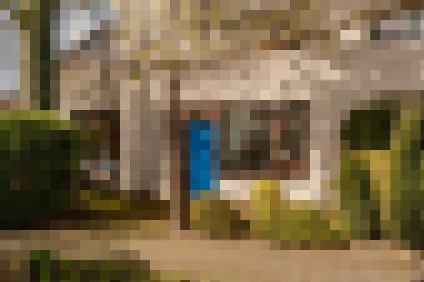 Hoogheemraadstraat 30 Wassenaar thumbnail 5