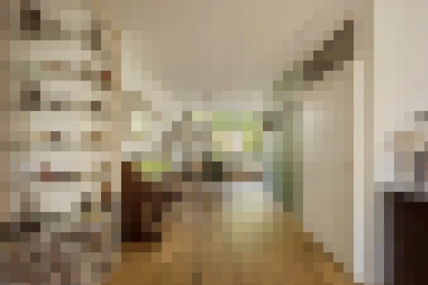 Hoogheemraadstraat 30 Wassenaar thumbnail 7