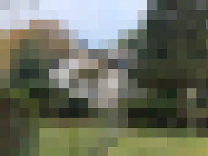 Hooghei 35 Berlicum thumbnail 6