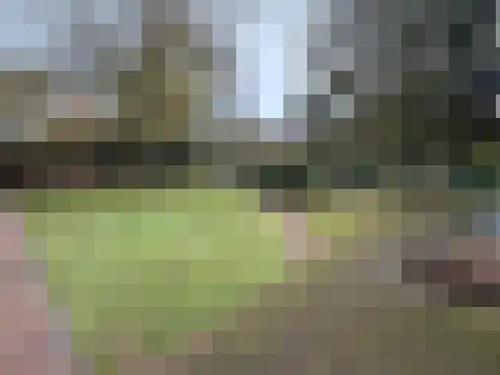 Hooghei 35 Berlicum thumbnail 7