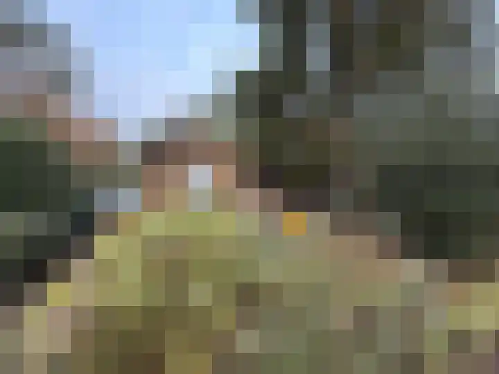 Hooghei 35 Berlicum thumbnail 8