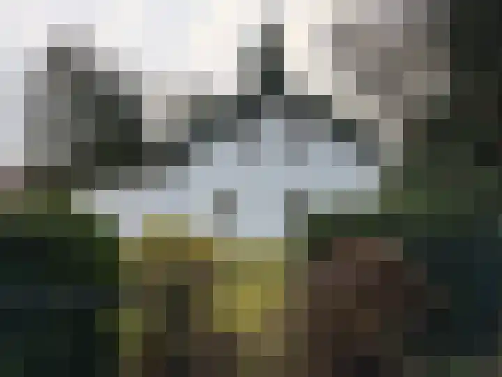 Hooghei 35 Berlicum thumbnail 9