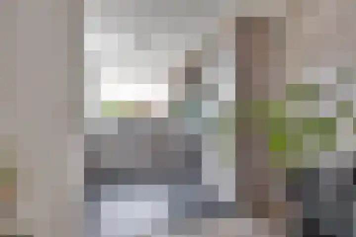 Hoogheuvelstraat 46 Oss thumbnail 14