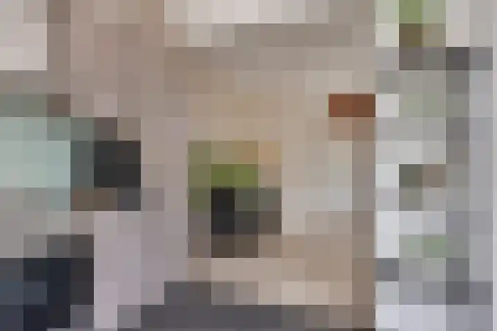 Hoogheuvelstraat 46 Oss thumbnail 17
