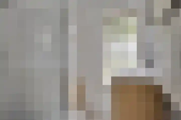 Hoogheuvelstraat 46 Oss thumbnail 22