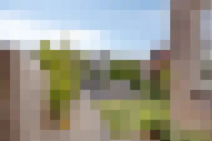 Hoogheuvelstraat 46 Oss thumbnail 28