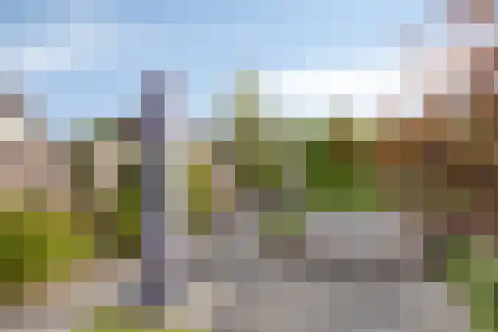 Hoogheuvelstraat 46 Oss thumbnail 29