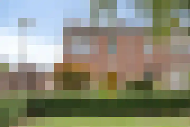 Hoogheuvelstraat 46 Oss thumbnail 34