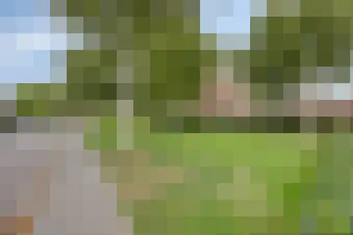 Hoogheuvelstraat 46 Oss thumbnail 36