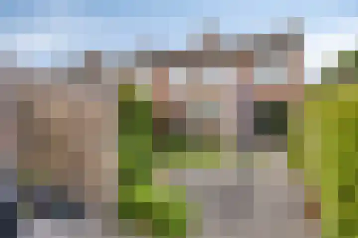 Hoogheuvelstraat 46 Oss thumbnail 4