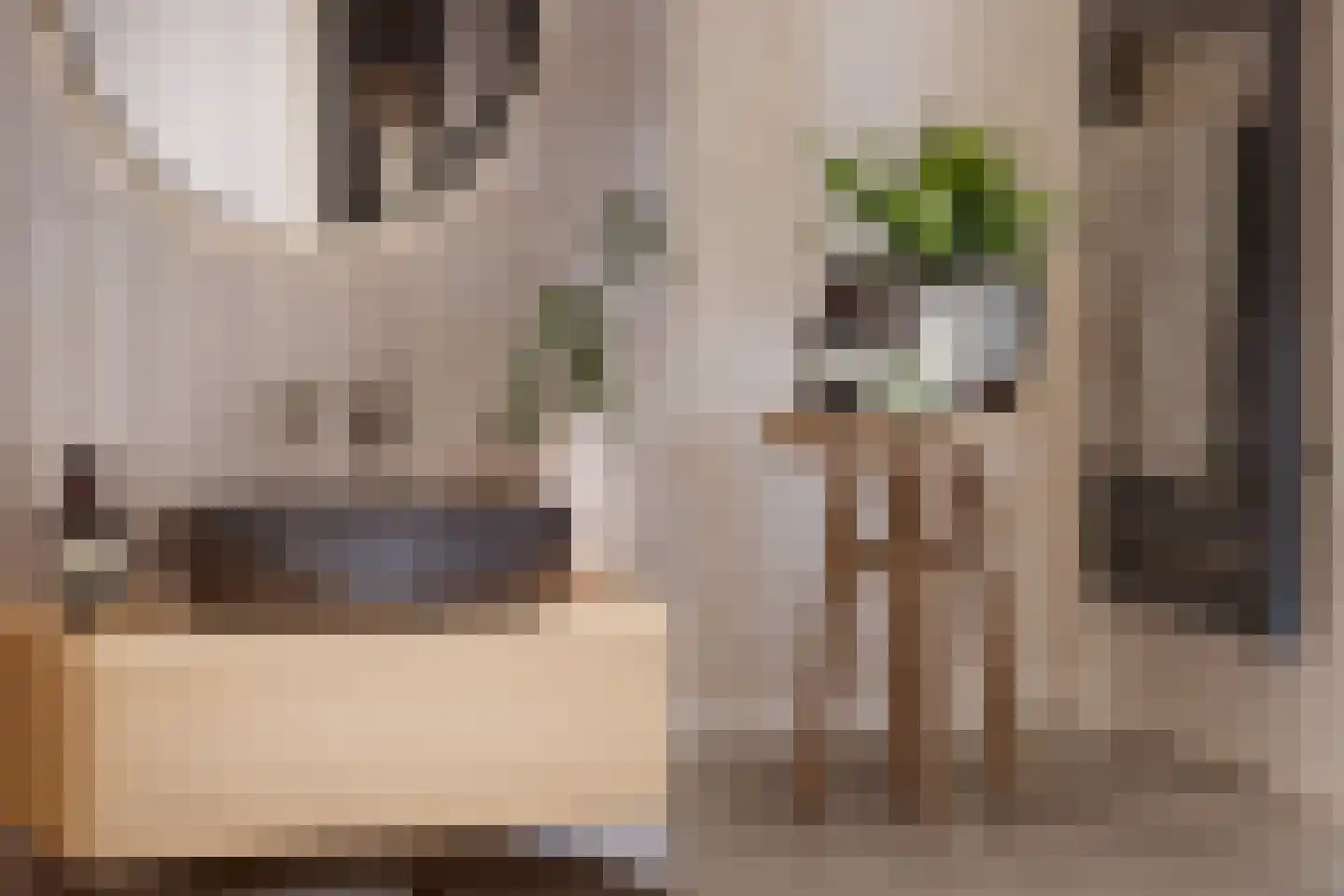 Hooghoef 58 Schaijk thumbnail 8