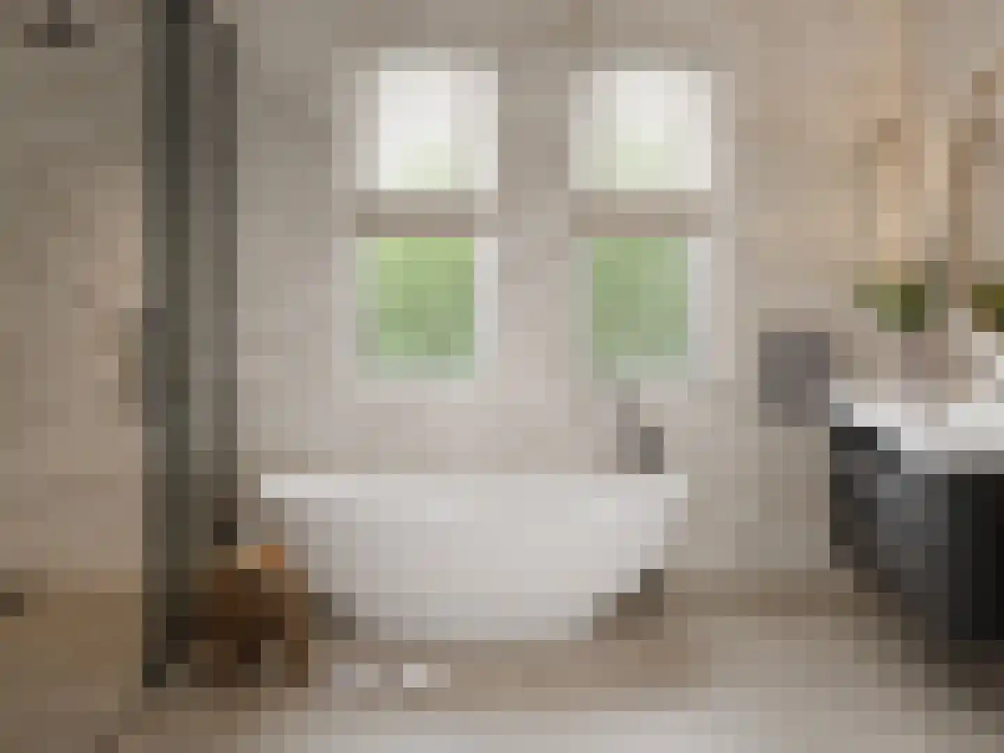 Hooghoef 58 Schaijk thumbnail 9