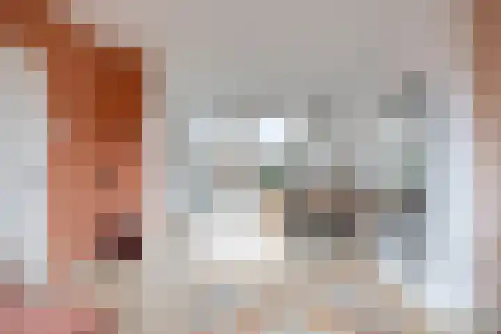 Hooghout 3 Breda thumbnail 10