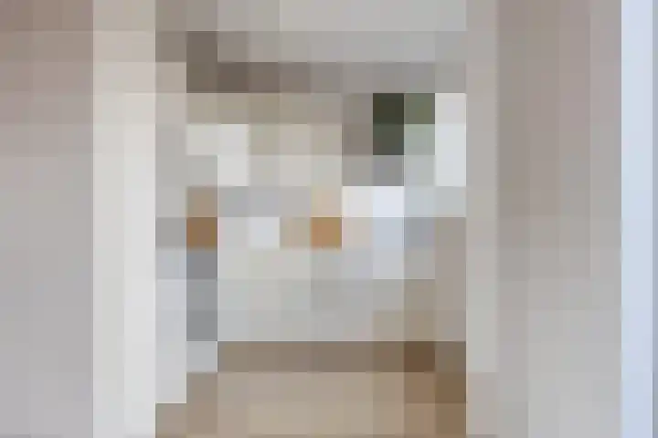Hooghout 3 Breda thumbnail 15
