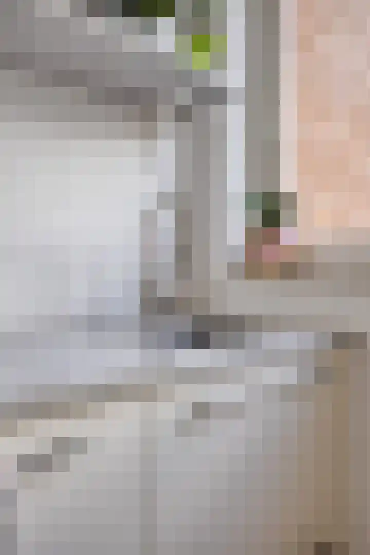 Hooghout 3 Breda thumbnail 16
