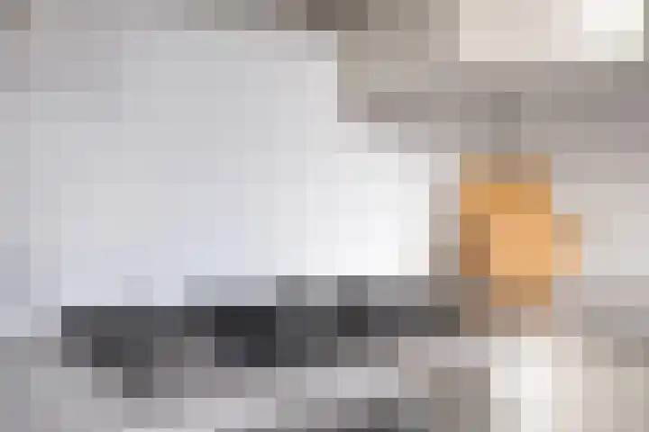 Hooghout 3 Breda thumbnail 17