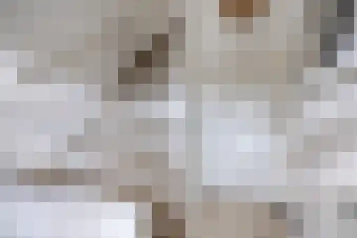 Hooghout 3 Breda thumbnail 21